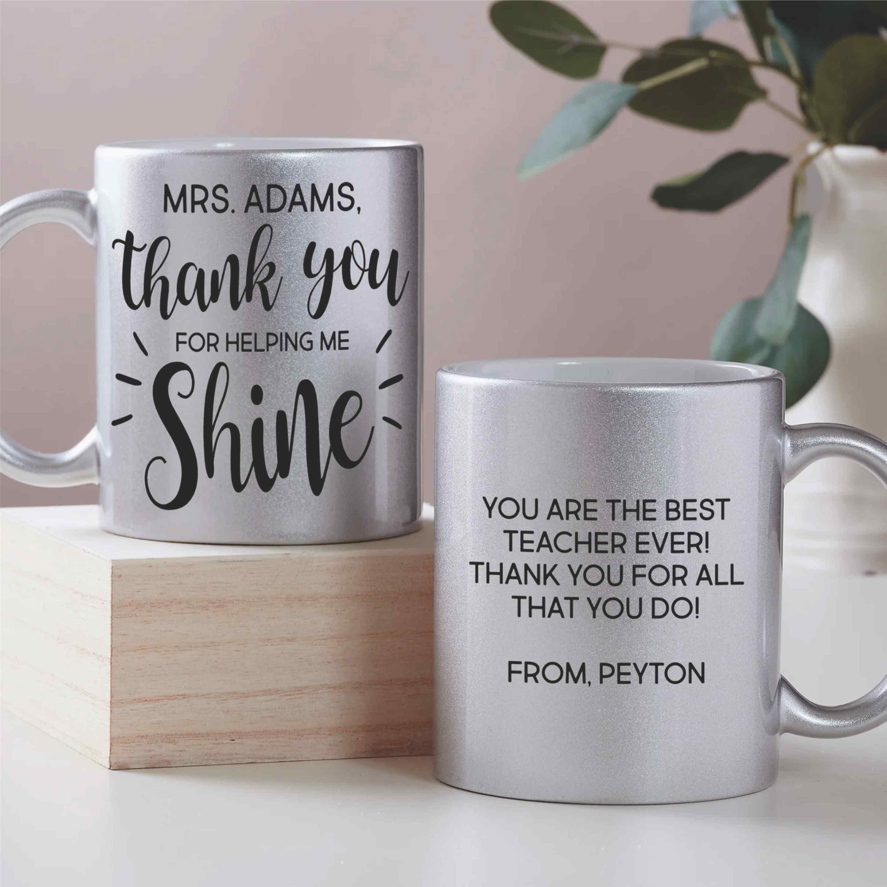 M6 Silver Mug